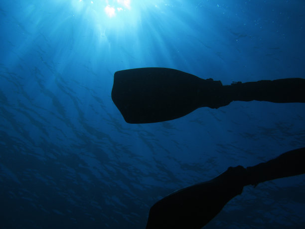 鳍 （U016）图片下载