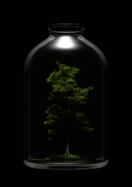 瓶子里的树图片下载