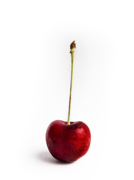 站立会议樱桃图片下载