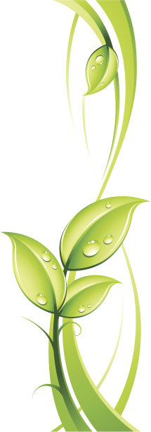 抽象背景和叶子图片下载