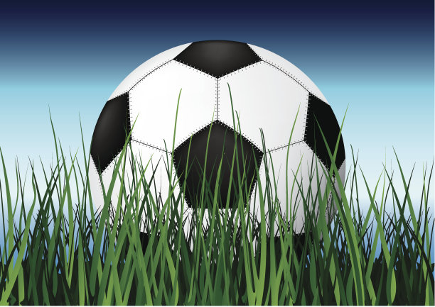 草地上的足球。图片下载