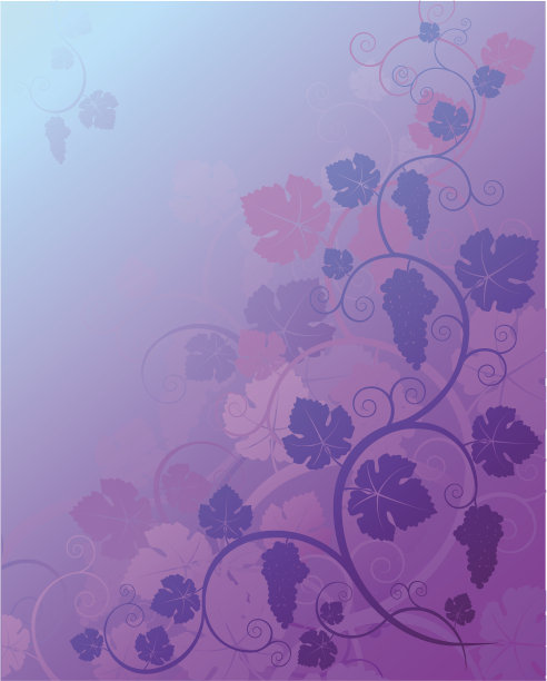 葡萄。向量的背景。图片下载