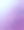 葡萄。向量的背景。图片下载