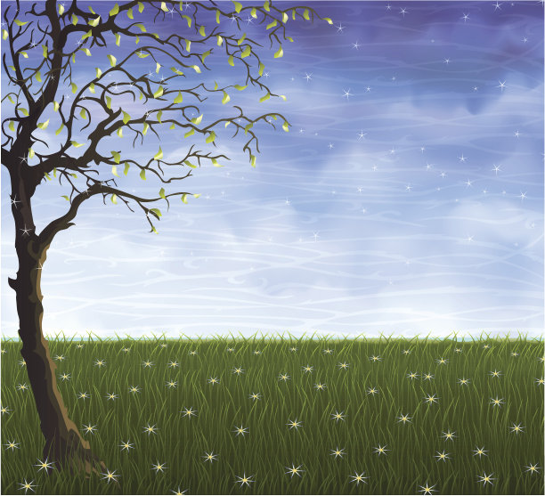 夏日草地上那棵孤独的树图片下载