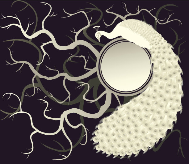 系列的鸟类。孔雀。矢量插图。素材图片