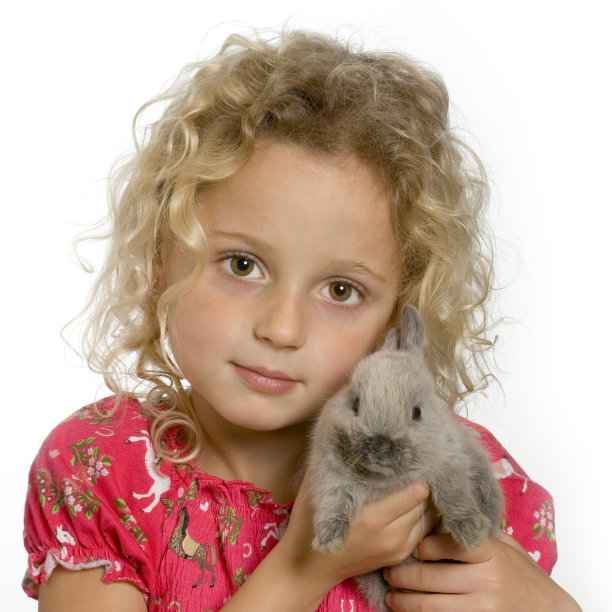 小女孩和灰兔子图片下载