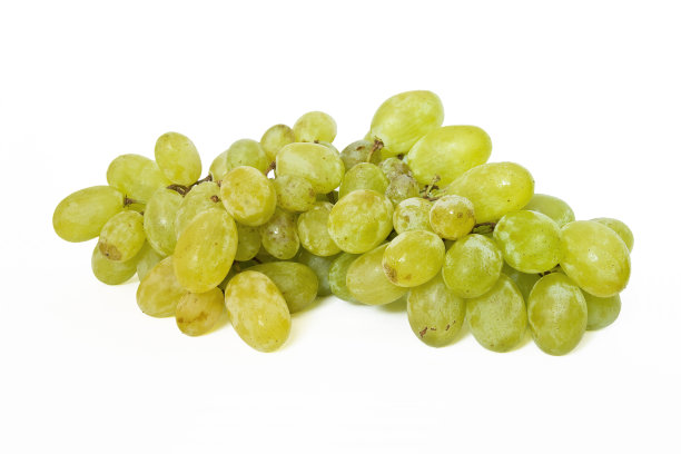 白葡萄图片下载