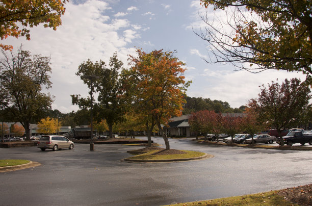 秋叶在商业街变换着颜色图片下载