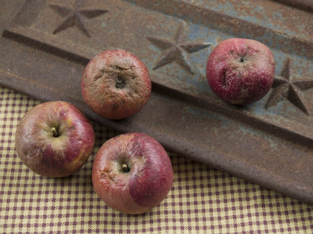 一些坏的美国苹果图片下载