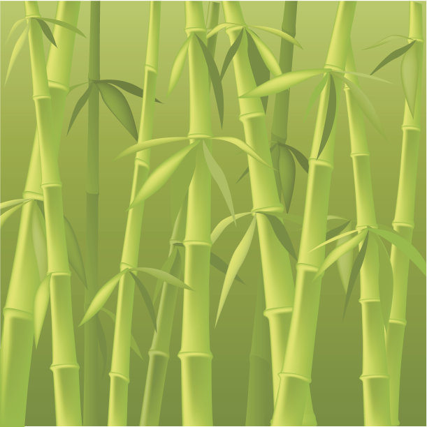竹树图片下载