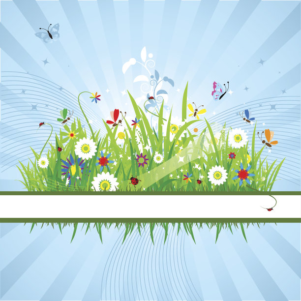 向量图像的夏季草地与花和蝴蝶图片下载