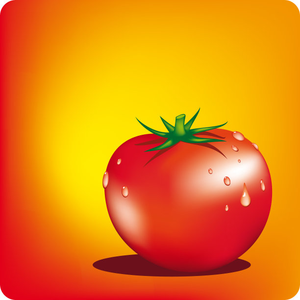番茄图片下载