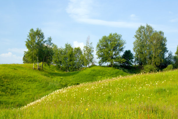 风景与树木，草地和蓝天图片下载
