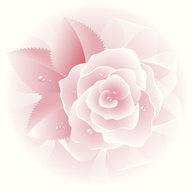 淡粉红色图片下载