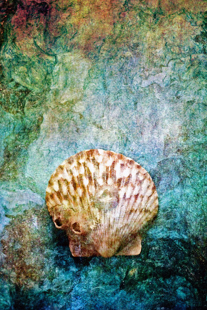 海洋结构图片下载