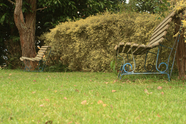 花园的长椅图片下载