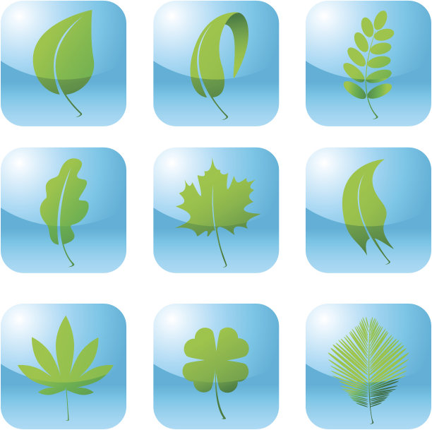 叶子。矢量图标设置图片下载