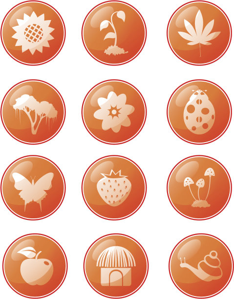 夏天的图标集。按钮图片下载