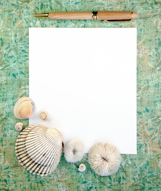 海贝壳与笔记纸和笔图片下载