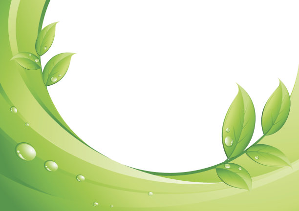 抽象的背景边框与树叶和露珠图片下载
