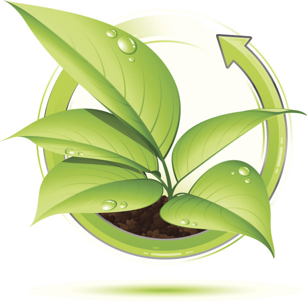 年轻的植物图片下载