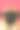 悲伤的哈巴狗图片下载