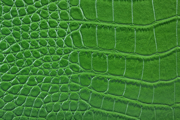 绿色鳄鱼蛇皮皮革细节。图片下载