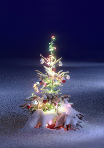 圣诞节的风景照片图片下载