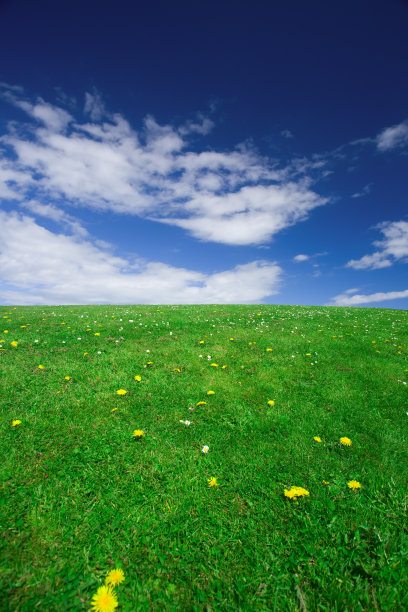 蒲公英和自然图片下载