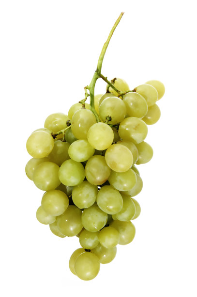 葡萄图片下载