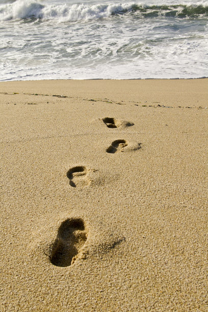 的足迹图片下载