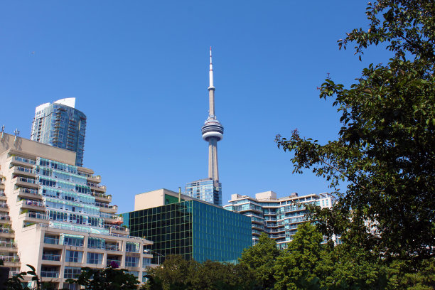 从多伦多音乐花园可以看到加拿大国家电视塔和建筑物图片下载