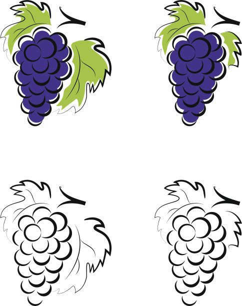 葡萄图片下载