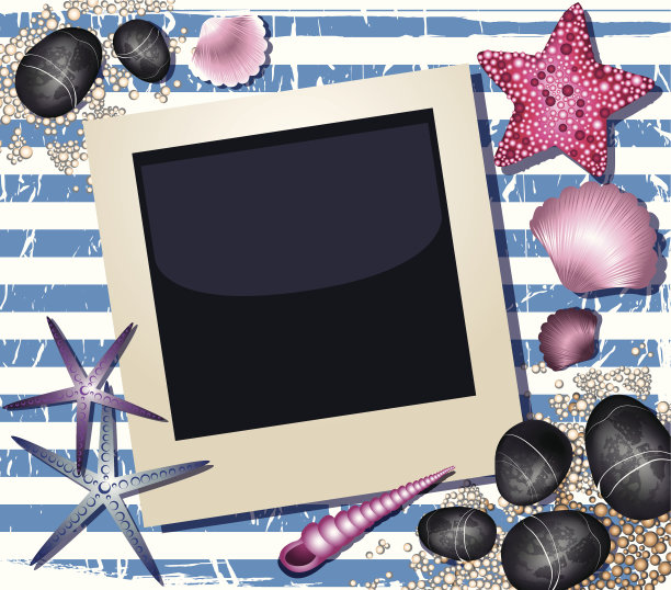 照片背景与贝壳和石头图片下载