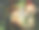 森林里的男孩和女孩素材图片