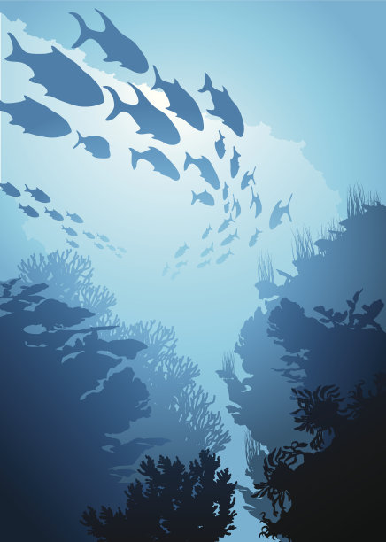 海底世界素材图片