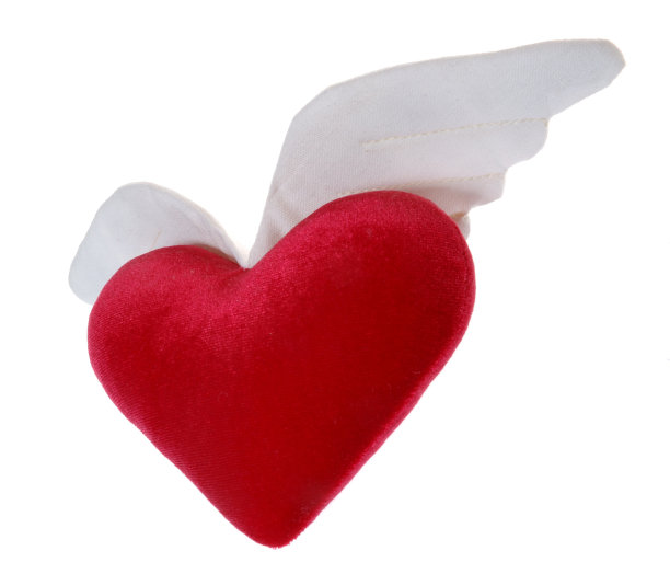 会飞的心2图片下载