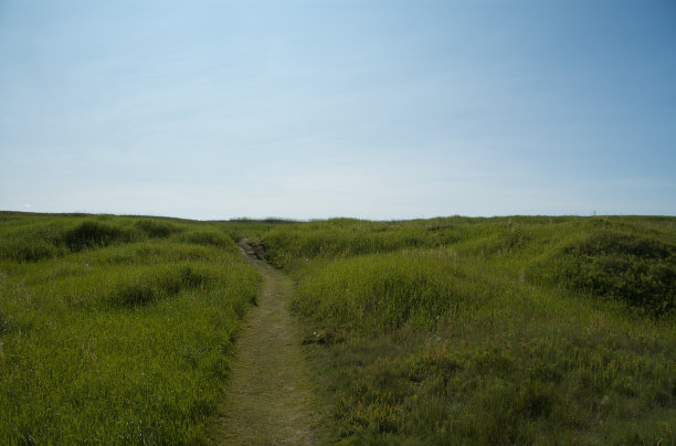 到冰岛的海滩图片下载