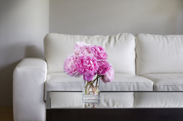 白色的客厅里放着粉红色的牡丹图片下载