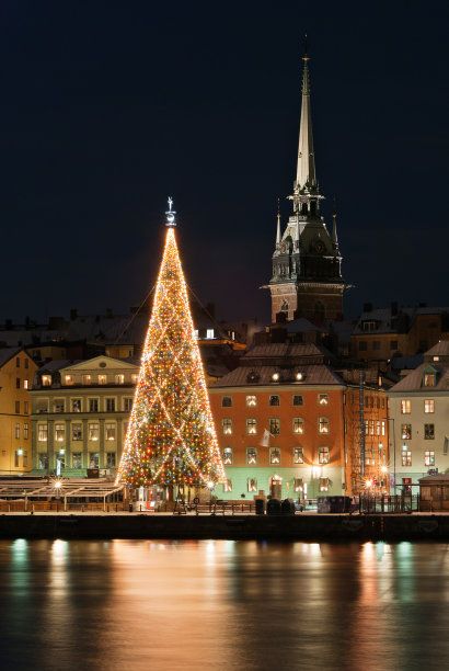 夜景斯德哥尔摩老城与圣诞树图片下载