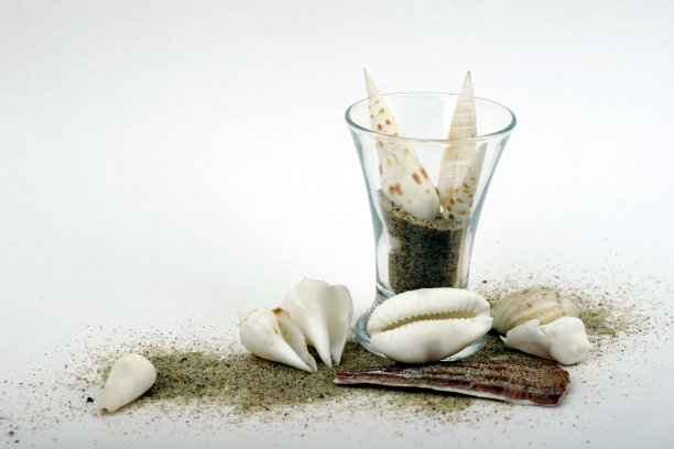 海洋的鸡尾酒图片下载