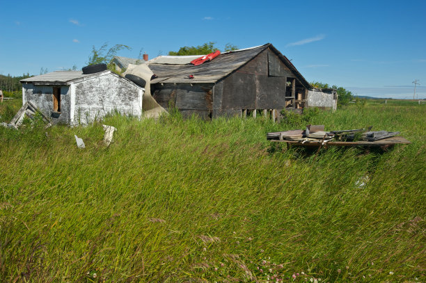 废弃的农场建筑:褪色的胶合板棚屋图片下载