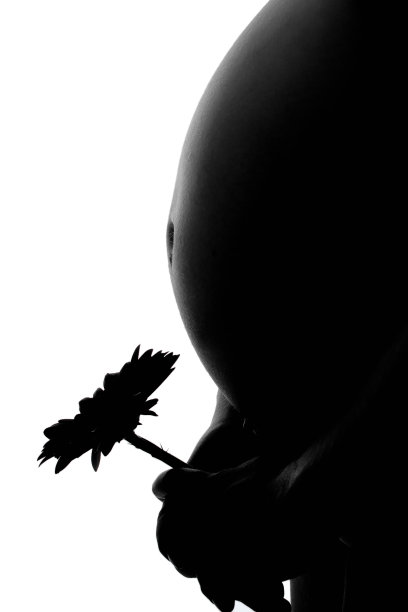 孕妇腹部的黑色剪影图片下载