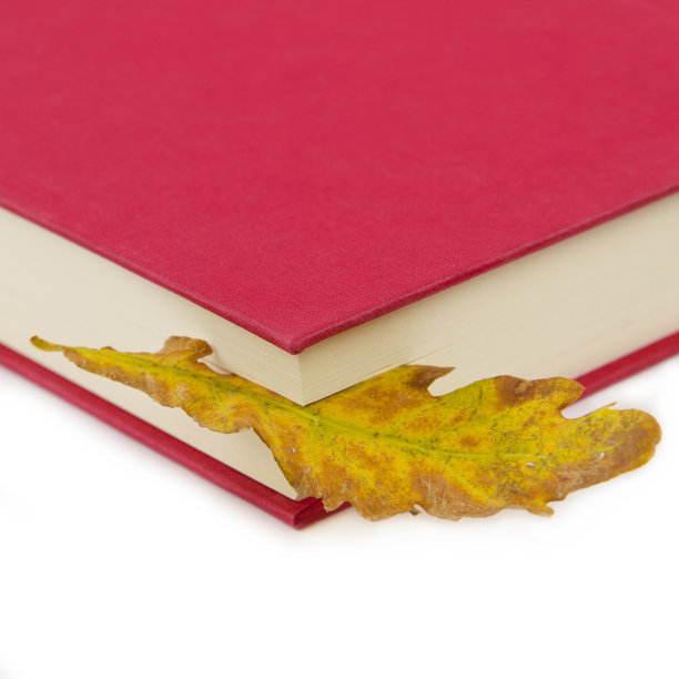 红书和黄栎叶图片下载