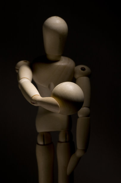 关注模型图片下载