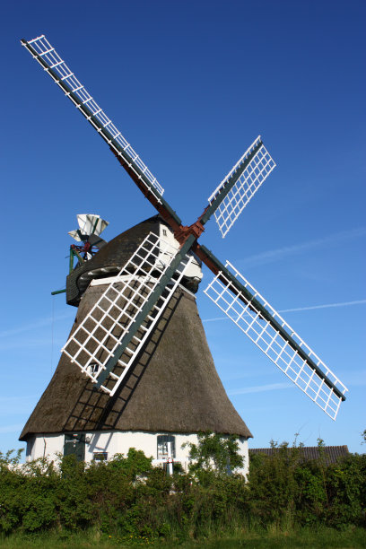 温德梅勒图片下载