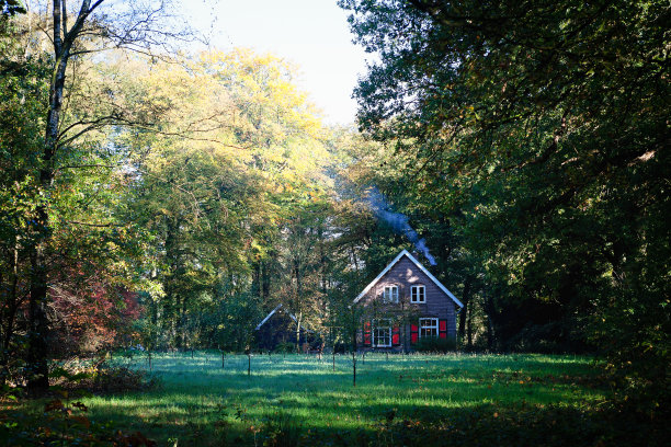 森林里的好房子图片下载