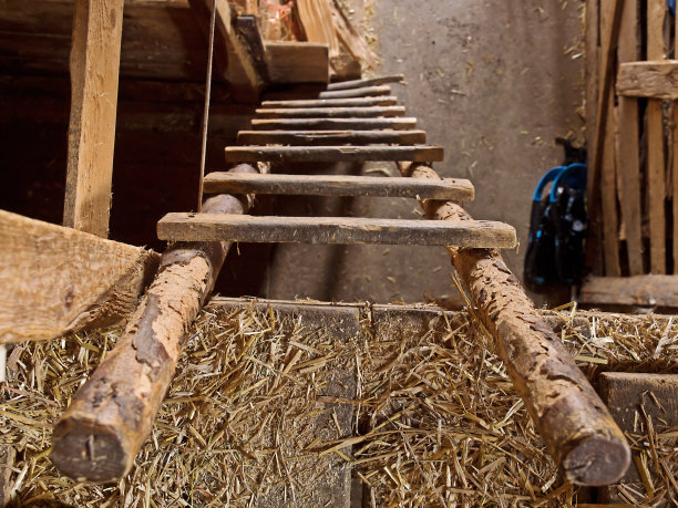 木梯从上往下图片下载