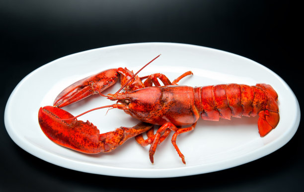 龙虾图片下载