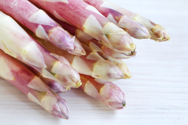 白芦笋尖放在砧板上图片下载